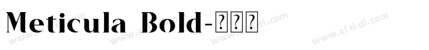 Meticula Bold字体转换